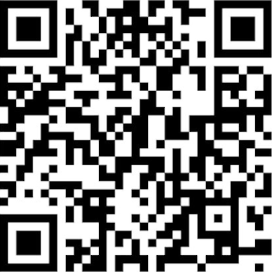 QR-код MAX